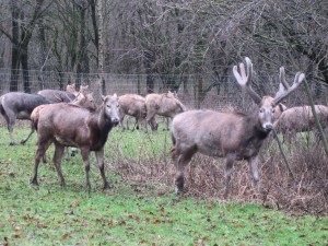Oog in oog met Pater Davidherten
